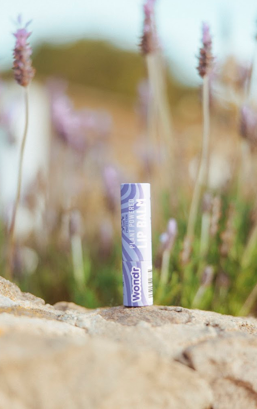 Plant Powered Lip Balm l Lippenbalsem Duopack