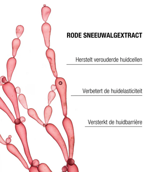 Age Repair Eye Cream